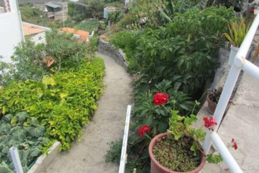 House Rural,Biosphere Reserve World.Taganana.Tfe. Santa Cruz de Tenerife Dış mekan fotoğraf