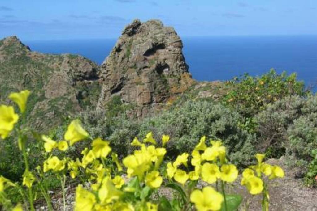 House Rural,Biosphere Reserve World.Taganana.Tfe. Santa Cruz de Tenerife Dış mekan fotoğraf